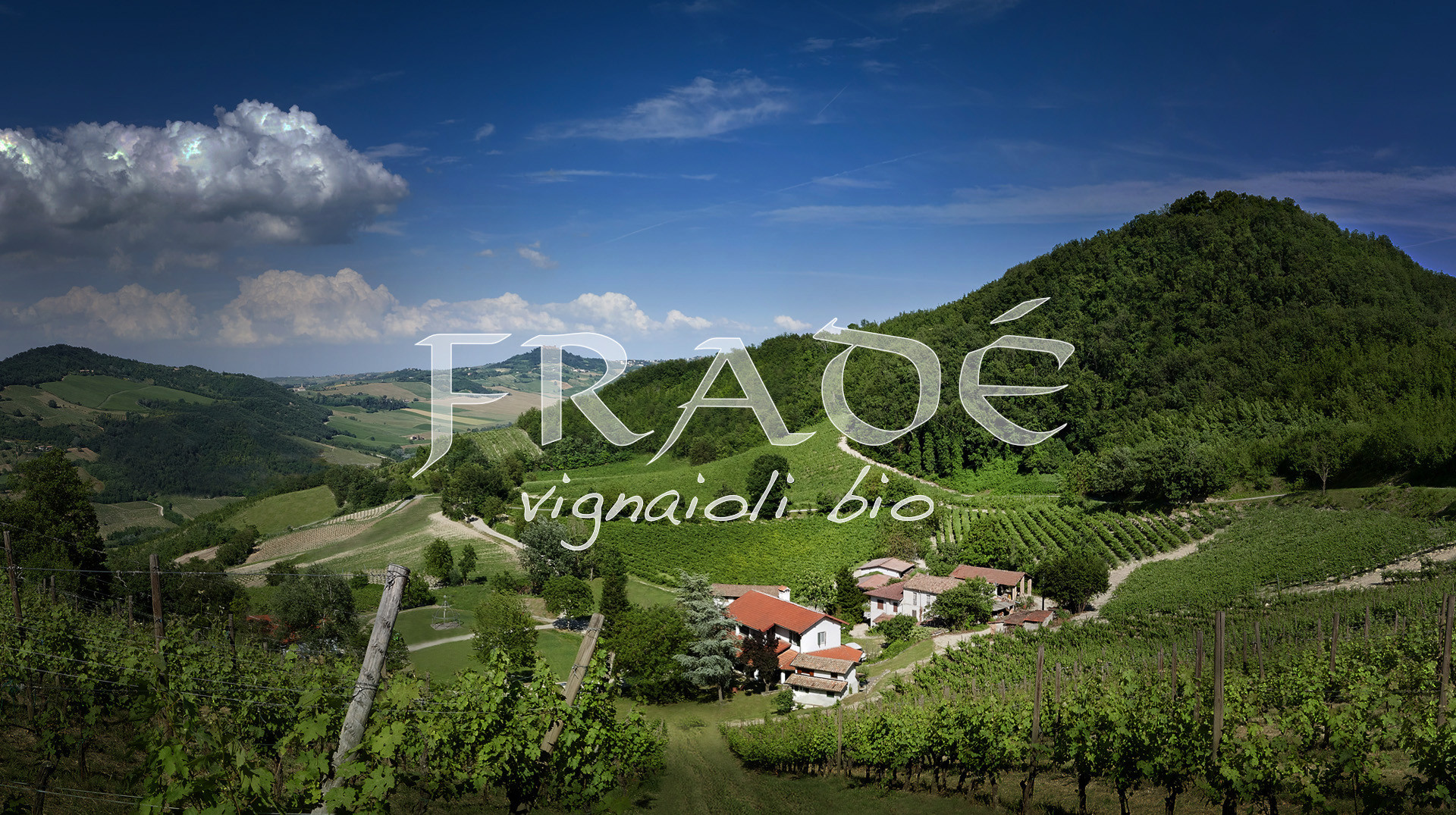 Fradé vini Oltrepò Pavese
